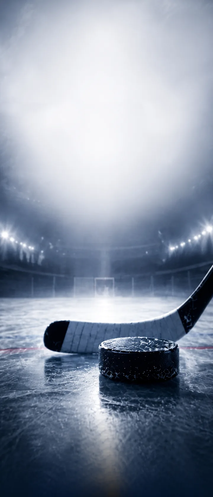 Ice hockey puck and stick on the rink